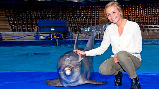 Cena y entrada al delfinario