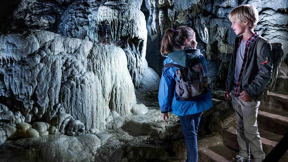 Hotel Restaurant Brasserie Le Fournil