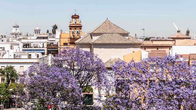 Hotel Don Paco