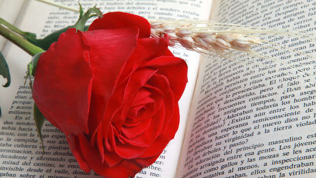 Relax en Junior Suite en Toscana