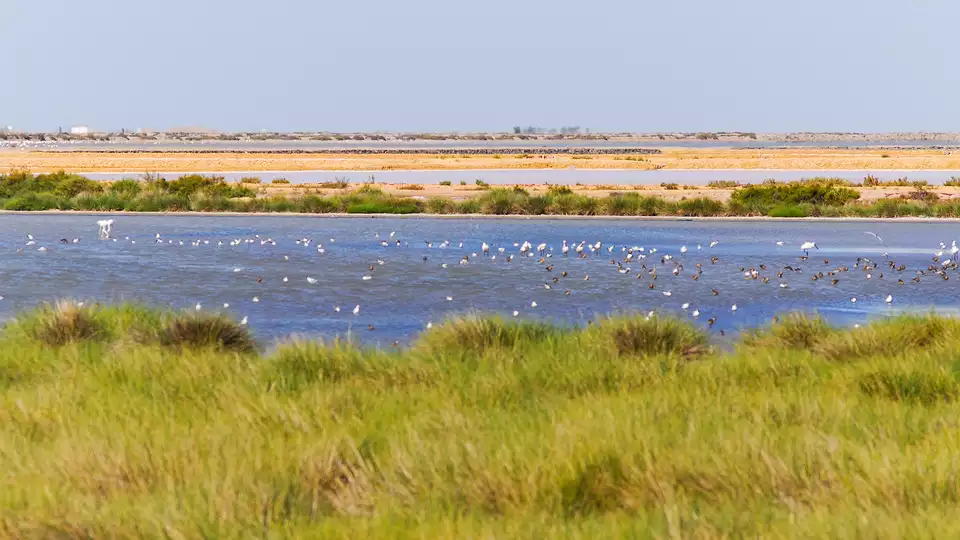 Escapada en El Rocio con visita guiada por el Parque Nacional de Donana