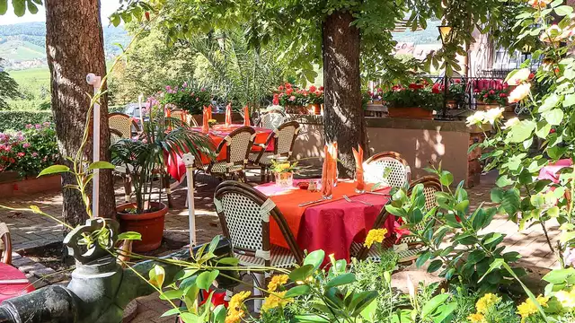 Fuga nel cuore dell'Alsazia con una cena gourmet