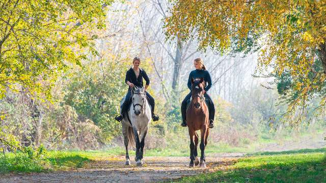 Soggiorno in Emilia- Romagna con giro a cavallo!