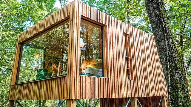 Instante romántico en el corazón del bosque en un lodge con arte contemporáneo