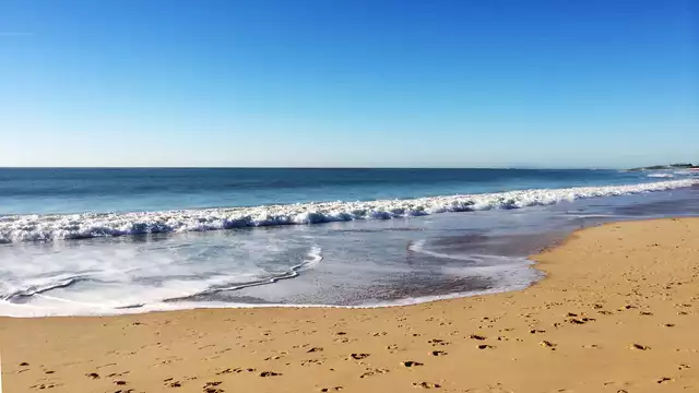 Momento romántico en la campiña de Zelanda