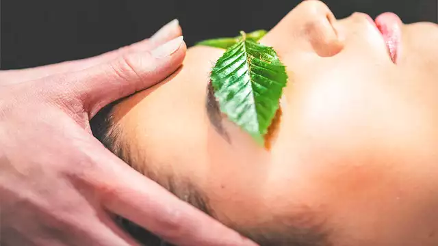 Zintuiglijke onderdompeling met een massage tussen de bomen
