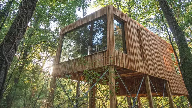 Immersione sensoriale romantica nel cuore della foresta in un lodge di design