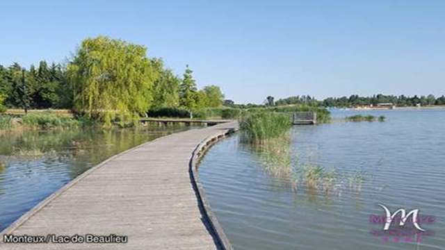 Mercure Pont d'Avignon Centre 4* - Aviñón, Francia