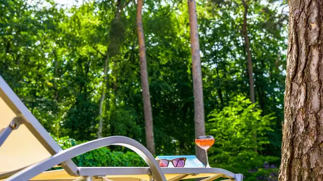 2 nuits d'été avec dîner et spa au cœur de la majestueuse forêt de Soignes,