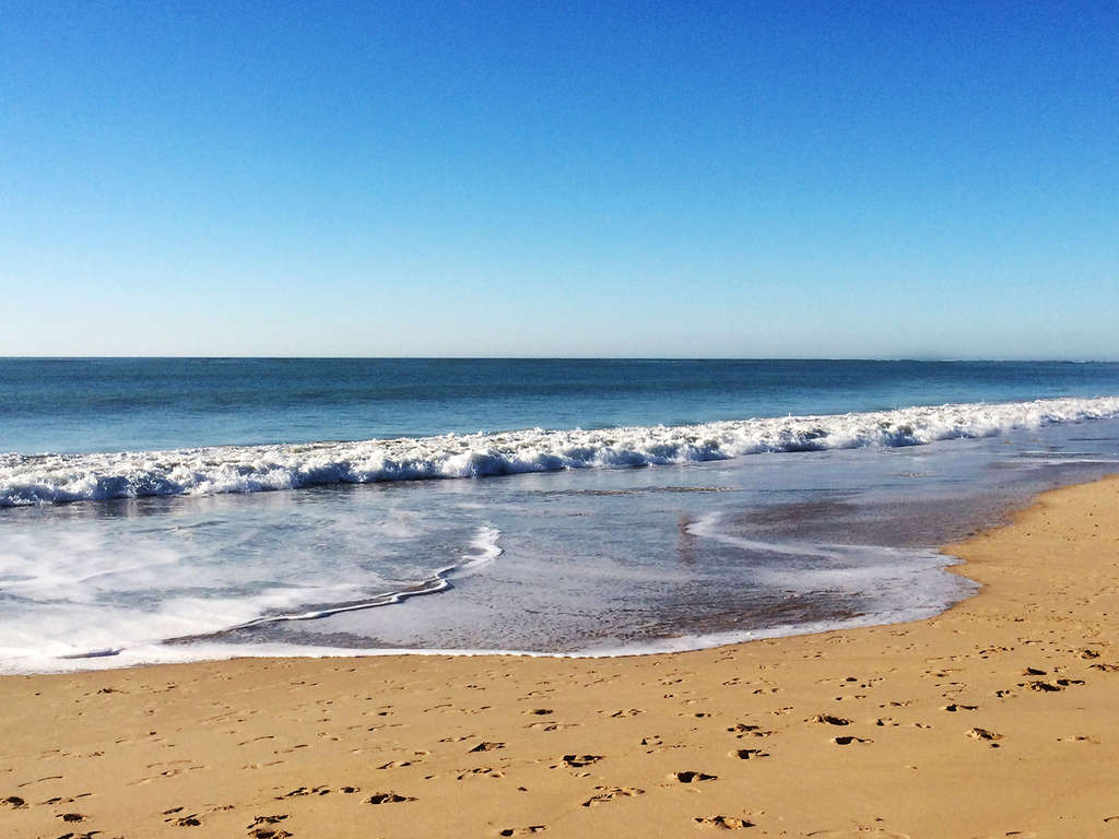 Luxe Et Hospitalité Sur La Côte De Scheveningen - 4* (ref 4763)