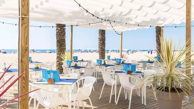 Colazione in riva al mare