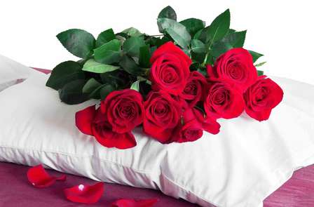 Détendez-vous lors d'un séjour en amoureux avec vue sur le port de pêche de Saint-Jean-de-Luz