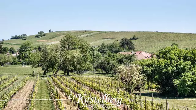 Fuga nel cuore dei vigneti in Alsazia con cena inclusa