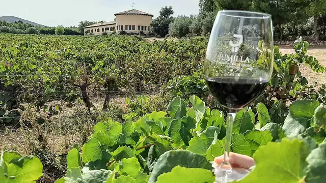 Escapada 5 sentidos: noche en hotel rural con vinoterapia y cena gastrónomica