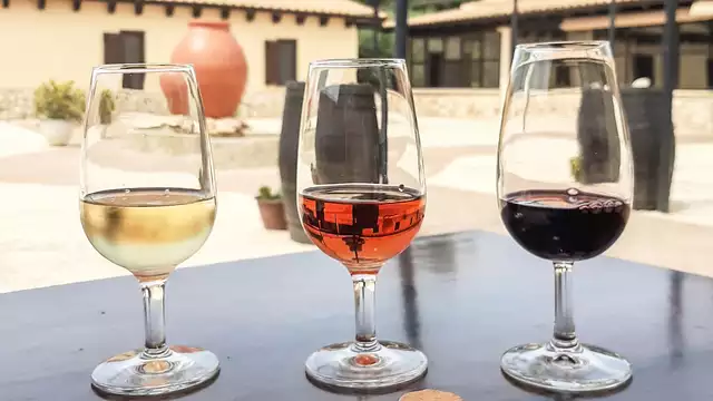 Pour les œnophiles escapade rurale avec route des vins