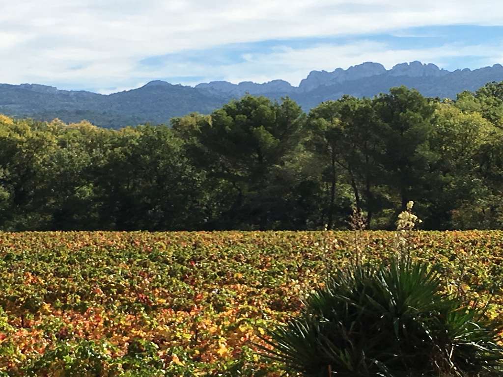 Escapade en chambre supérieure au coeur de la Provence - 18