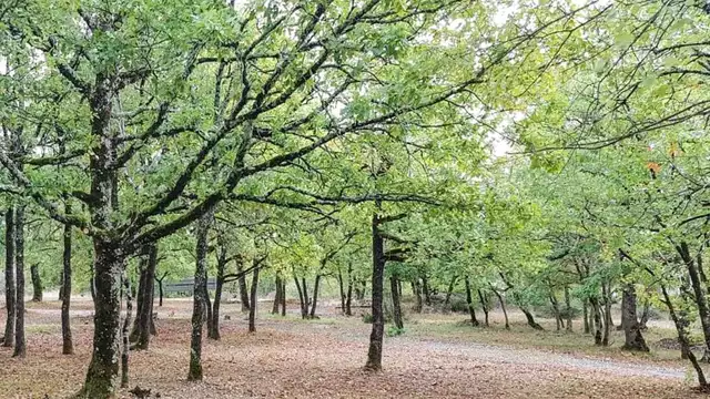 Profitez d'une bouteille de vin dans la ville historique de Rocamadour