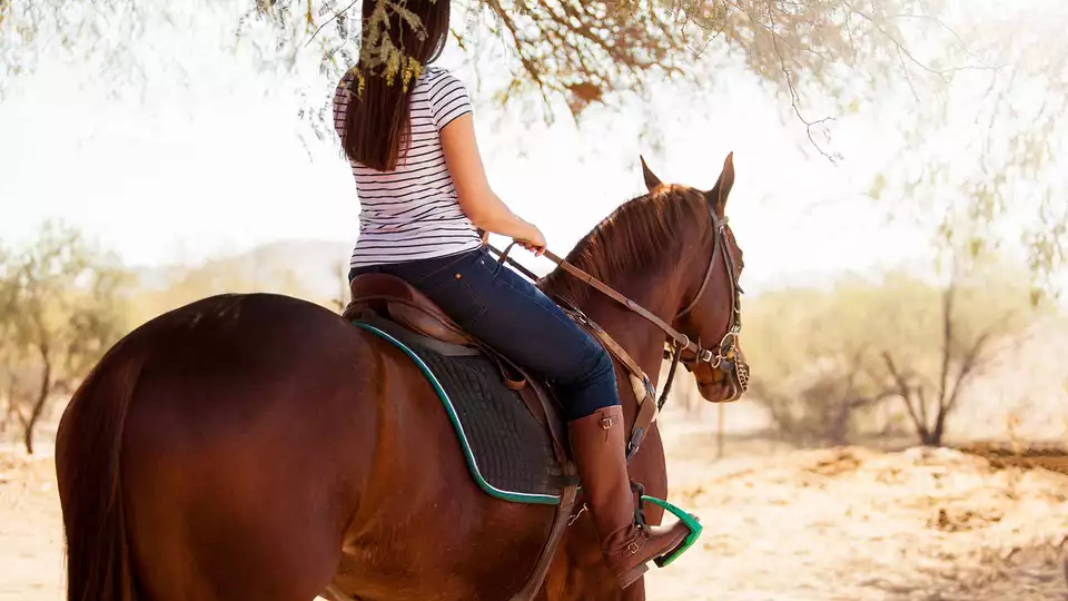 Week-end equestre a Arcos de la Frontera avec dejeuner de tapas a la carte
