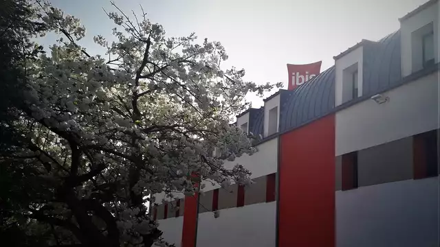 Découvrez Soissons et ses environs le temps d'un week-end