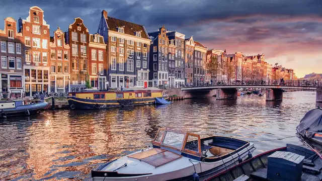 Découverte du Festival des Lumières d'Amsterdam