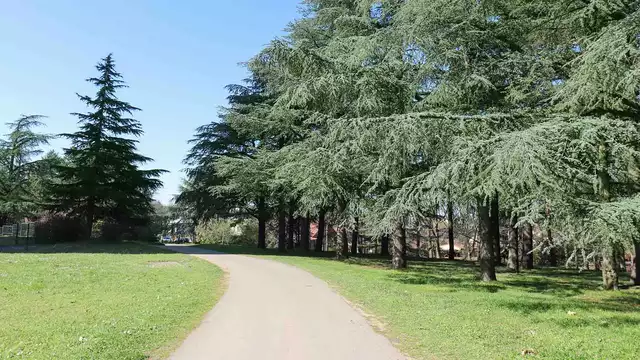 Vive una pausa de bienestar en Lyon