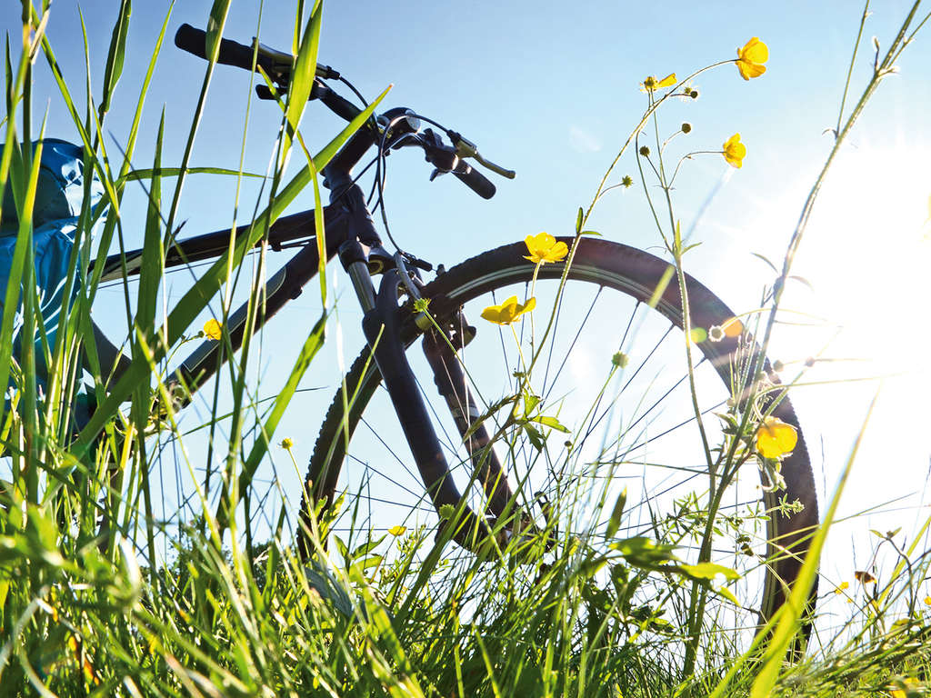 Escapade gourmande et sportive à Luxembourg avec dîner et location de vélo - 4* - 1
