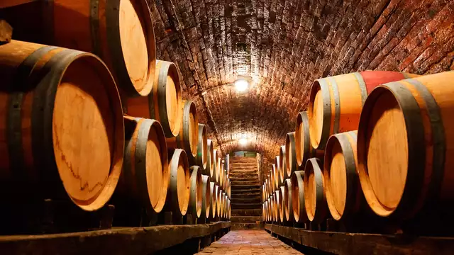 Kelderbezoek en wijnproeverij in Junior Suite in de buurt van Bordeaux