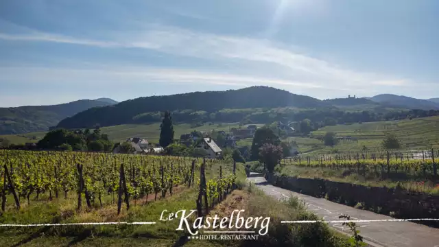 Séjour avec dîner inclus au coeur des vignes