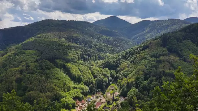 Vakantie in de Elzas, in het hart van de wijngaarden