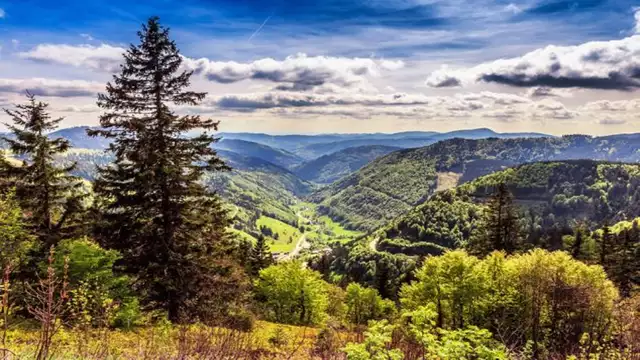 Retraite confortable dans la Forêt-Noire en Allemagne