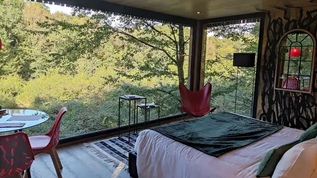 Instante romántico en el corazón del bosque en un lodge con arte contemporáneo