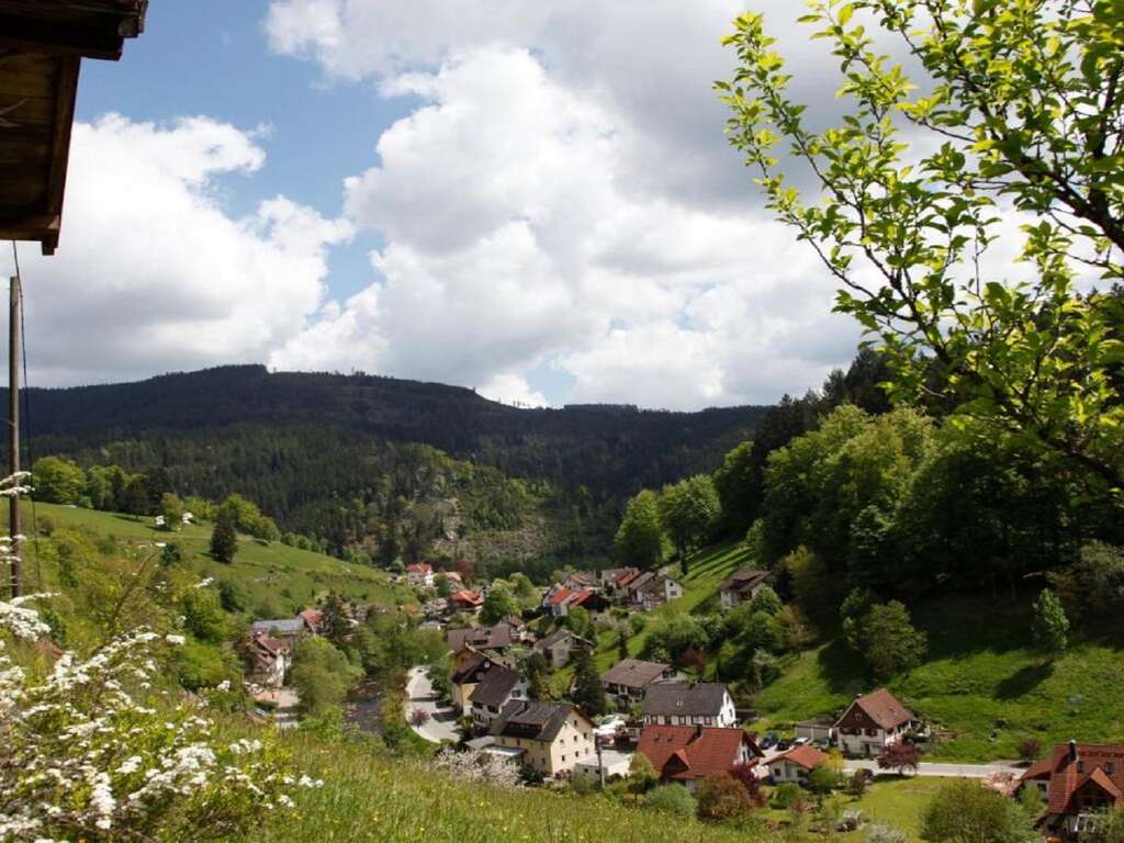 Expérience Gastronomique Dans La Forêt-noire (à Partir De 2 Nuits) - 4* (ref 15781)