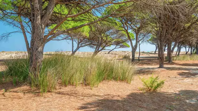 Été en Sardaigne avec appartement pour 4 personnes à Budoni, Costa Smeralda