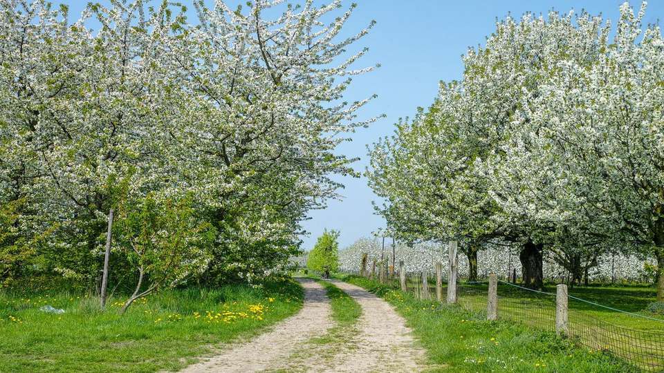 Profitez d une evasion au vert repos detente wellness