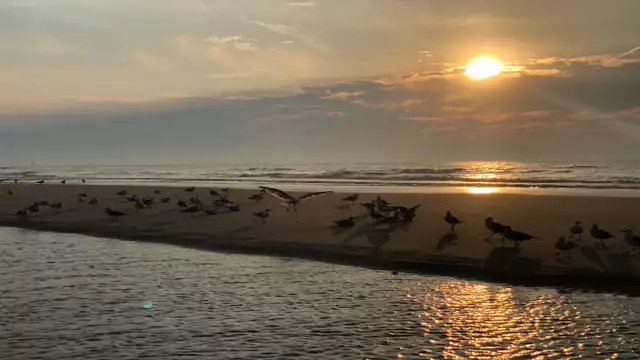 2 notti al mare con cena e benessere a Middelkerke