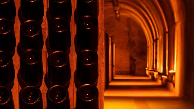 Ontdek de champagnekelder van Mumm in Reims