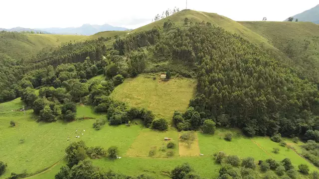 Desconecta con tu pareja en un ambiente rural en Nueva de Llanes con cena y botella de cava