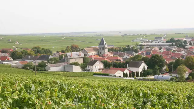 Voyage autour du champagne avec dégustation et dîner