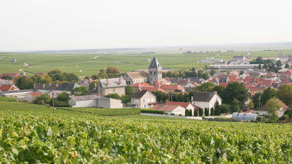 Séjour bucolique avec dégustation de Champagne