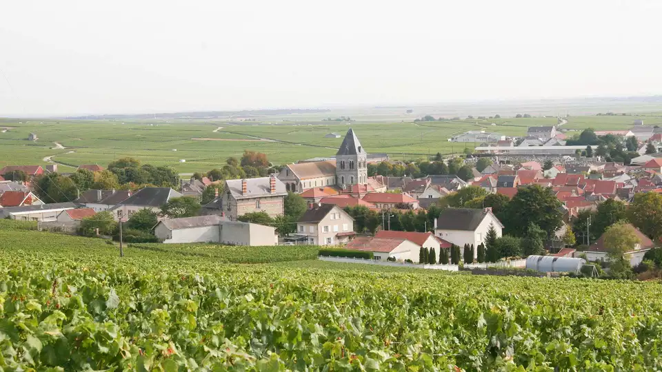Sejour bucolique avec degustation de Champagne