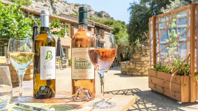 Voyage autour du champagne avec dégustation et dîner