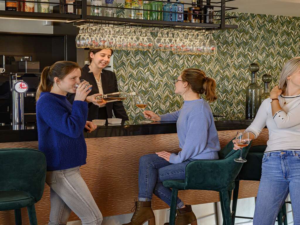 Visitez la belle ville d'Anvers (+bouteille de vin incluse) - 4* - 9