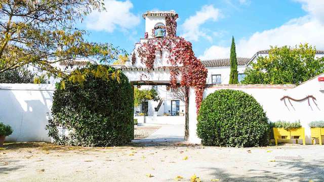 Hotel Boutique Molino del Arco