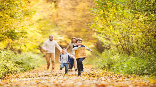 Parenthèse familiale aux alentours de Paris et à deux pas du Parc Astérix