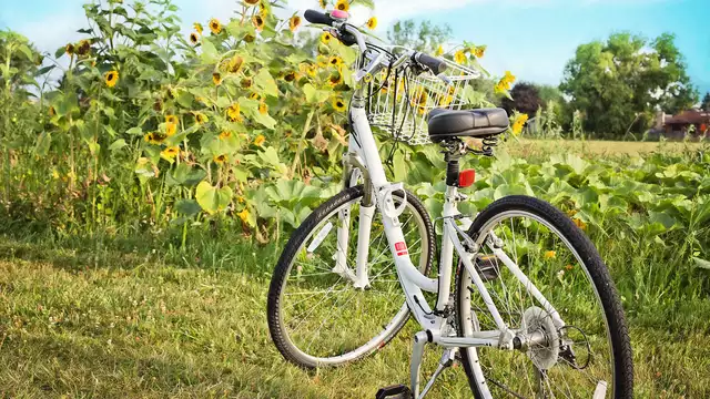 La Normandia in bici, a 1 ora da Parigi