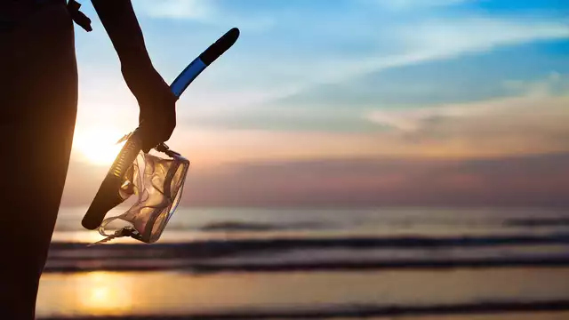 Descubre las salinas de San Pedro del Pinatar en un estudio con botella de cava gratis