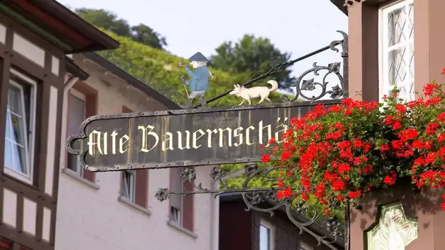 Séjour de découverte dans la vallée du Rhin à Rüdesheim et de ses vins