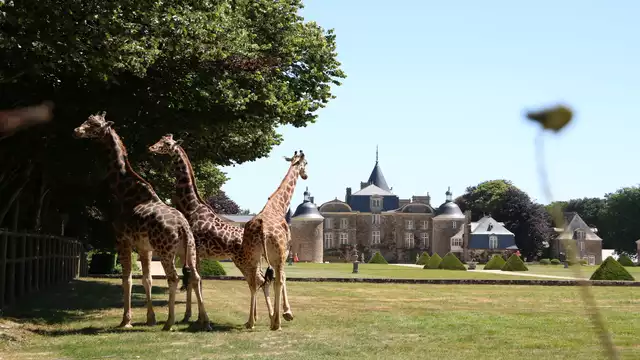 Séjours à Dinan avec découverte du Zoo de la Bourbansais