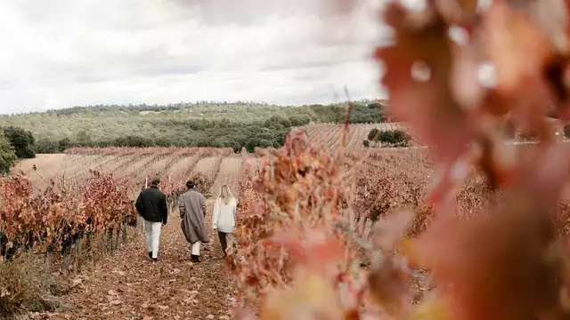 Escapada Romántica con Vino en Valladolid