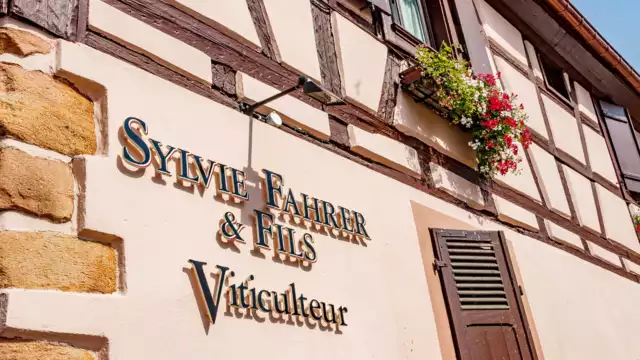 Escapade alsacienne et visite d'un domaine viticole